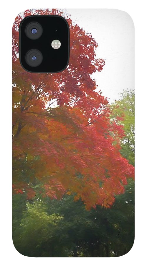 Maple Tree In October - Phone Case