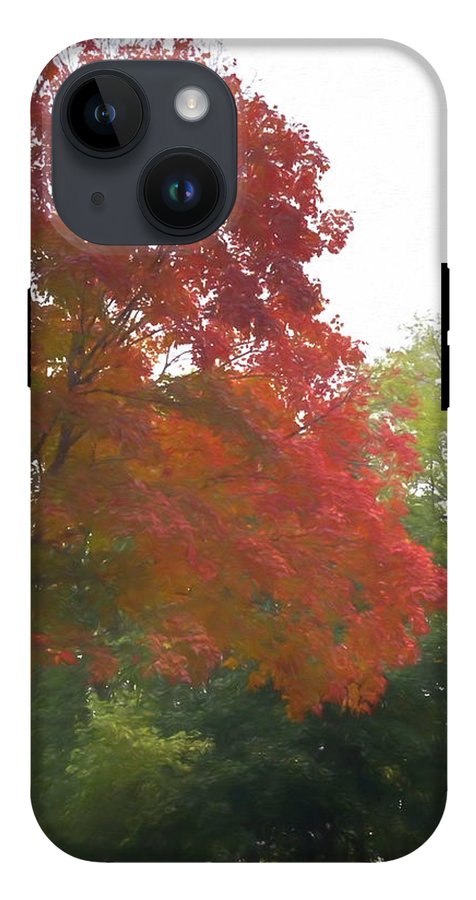 Maple Tree In October - Phone Case