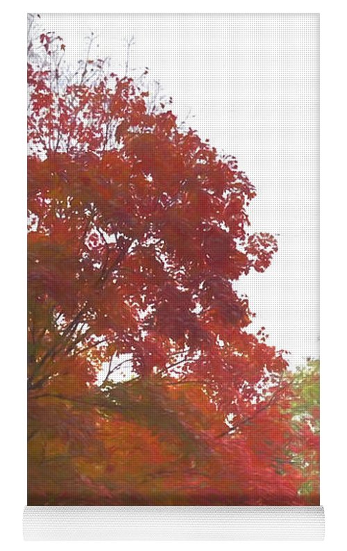 Maple Tree In October - Yoga Mat