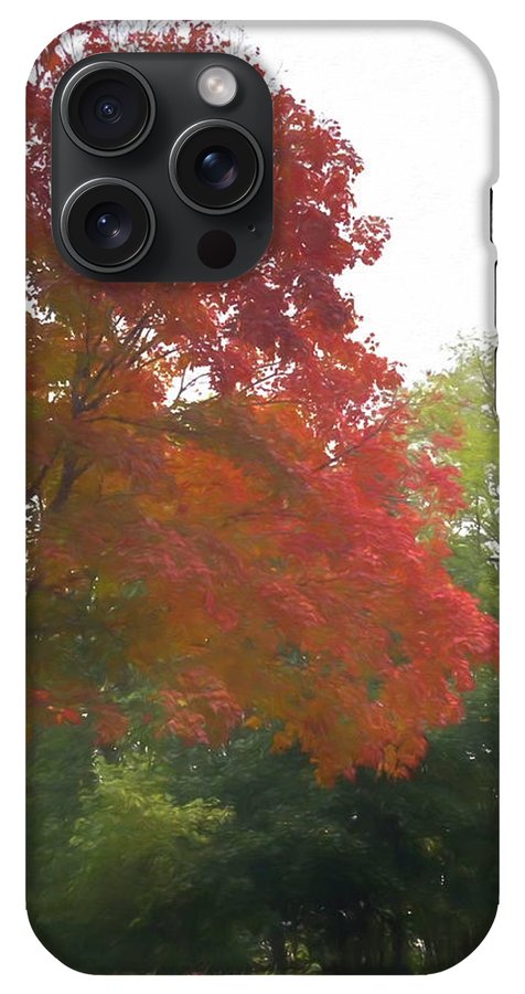 Maple Tree In October - Phone Case