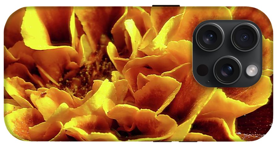 Marigold Close Up - Phone Case
