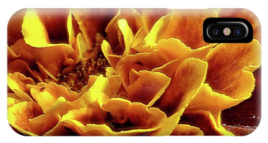 Marigold Close Up - Phone Case