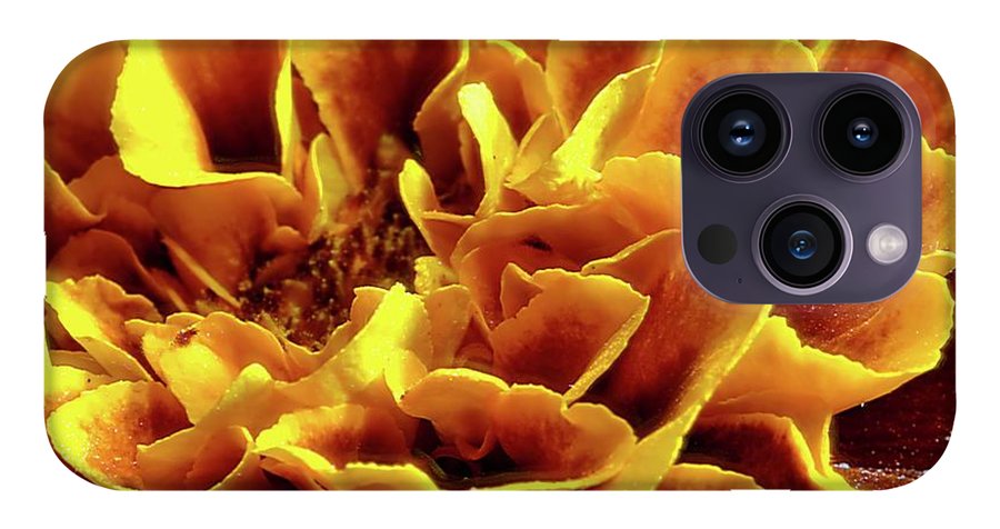Marigold Close Up - Phone Case