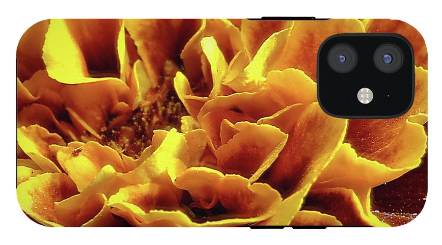 Marigold Close Up - Phone Case