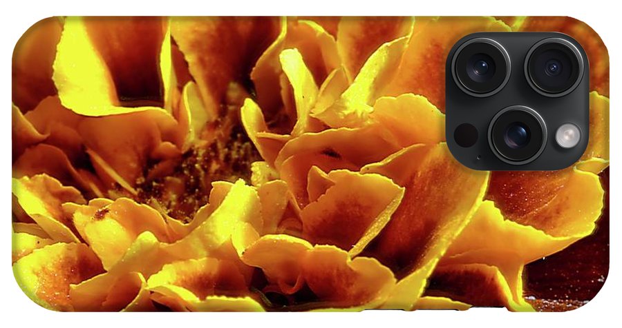 Marigold Close Up - Phone Case