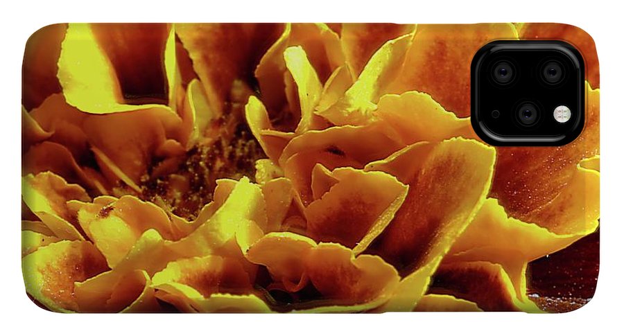 Marigold Close Up - Phone Case
