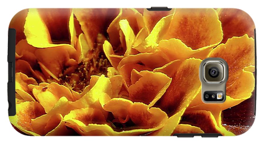 Marigold Close Up - Phone Case