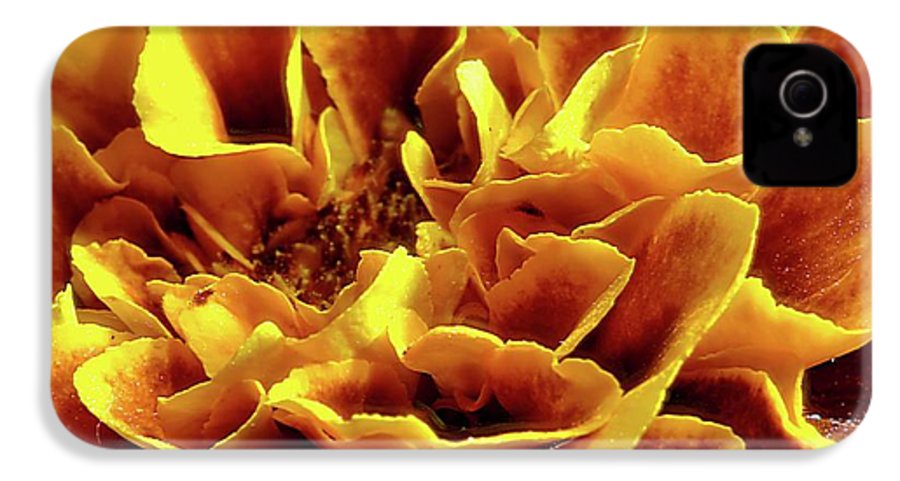 Marigold Close Up - Phone Case