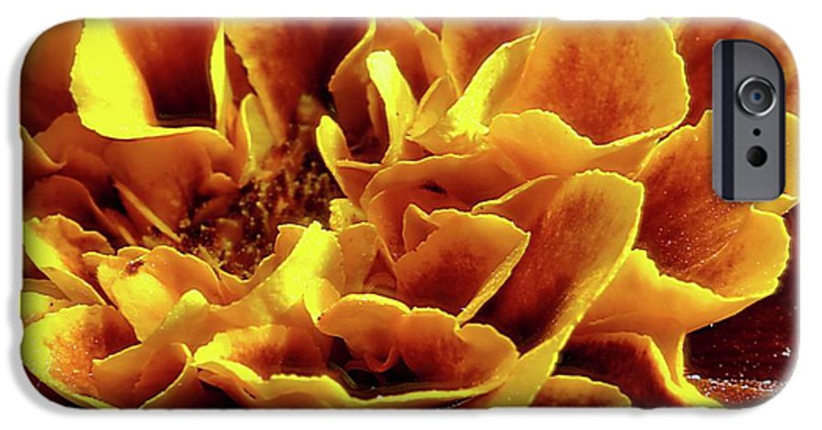 Marigold Close Up - Phone Case