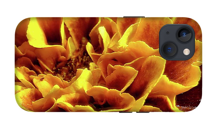 Marigold Close Up - Phone Case