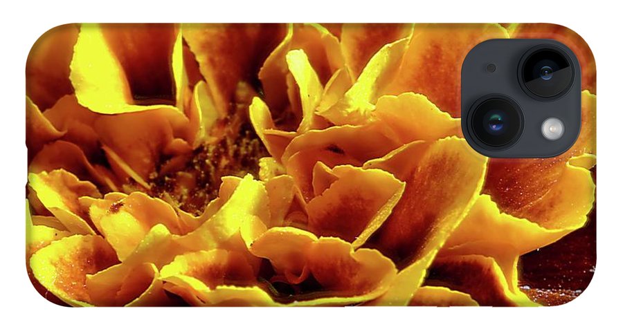Marigold Close Up - Phone Case