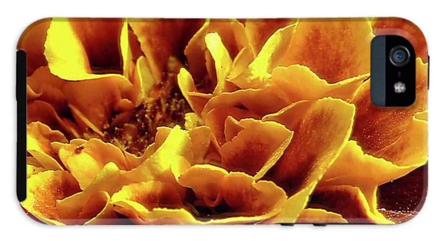 Marigold Close Up - Phone Case