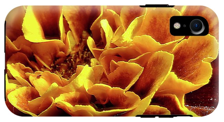 Marigold Close Up - Phone Case