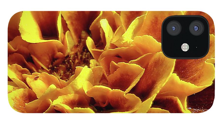 Marigold Close Up - Phone Case