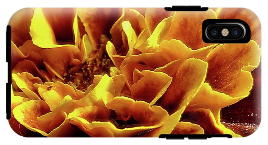 Marigold Close Up - Phone Case