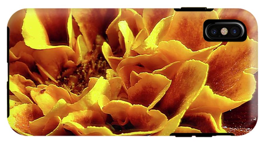 Marigold Close Up - Phone Case
