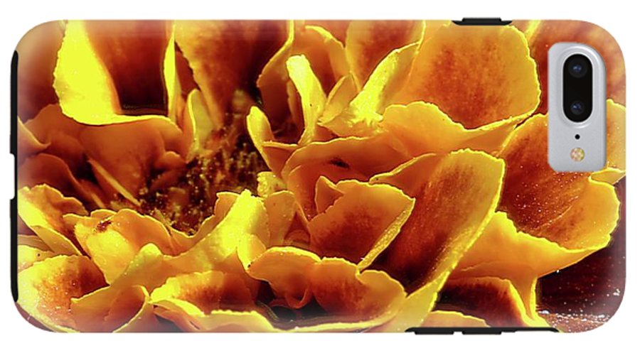 Marigold Close Up - Phone Case