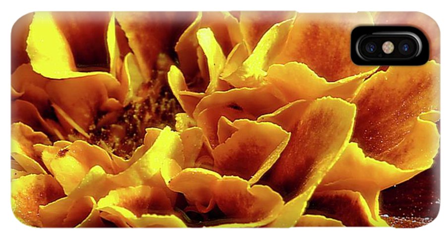 Marigold Close Up - Phone Case