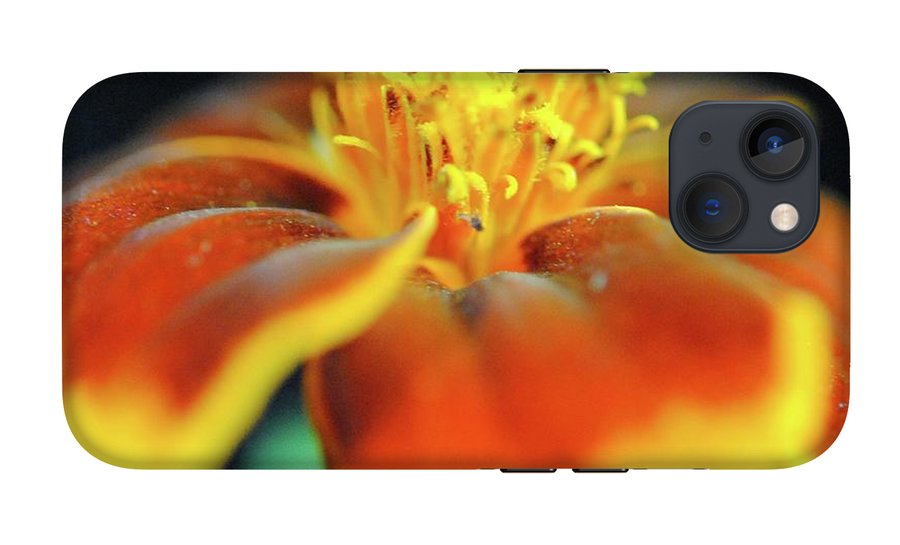 Marigold With Pollen - Phone Case