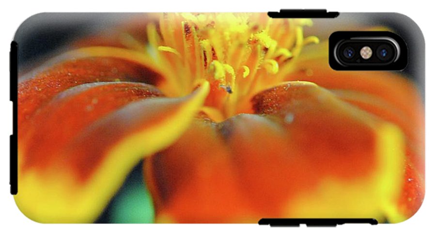 Marigold With Pollen - Phone Case