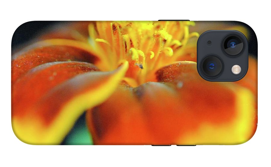 Marigold With Pollen - Phone Case