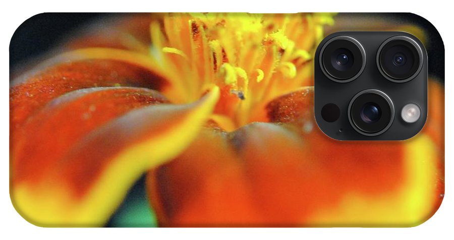 Marigold With Pollen - Phone Case