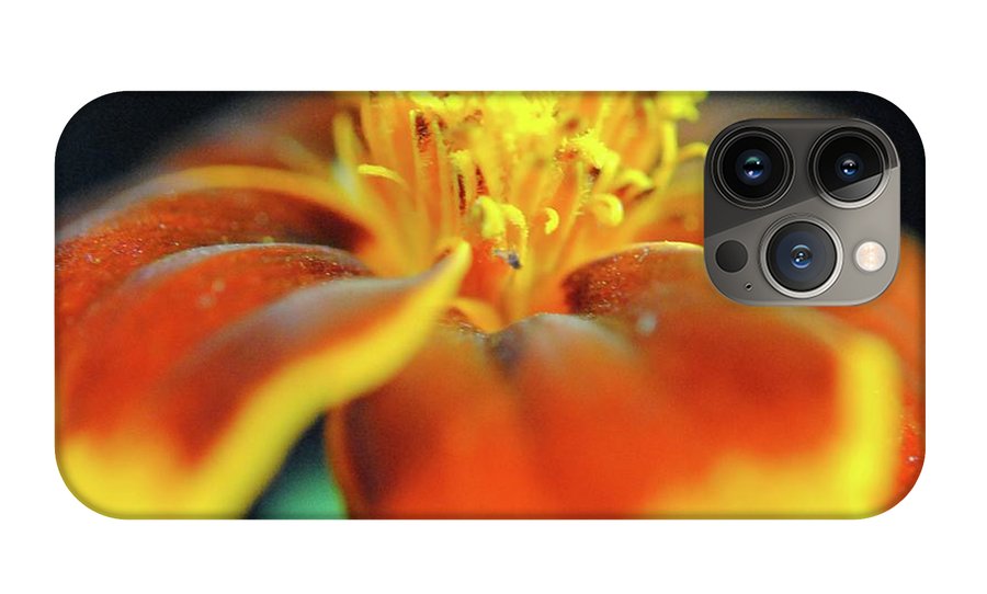 Marigold With Pollen - Phone Case