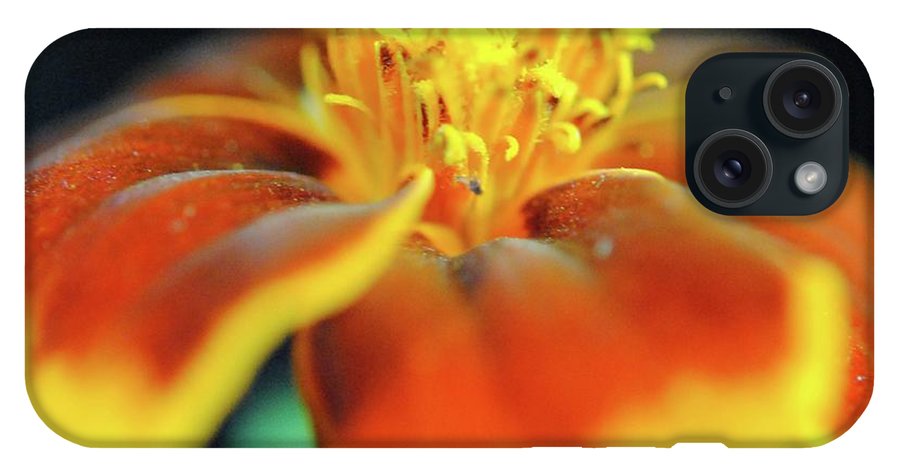 Marigold With Pollen - Phone Case
