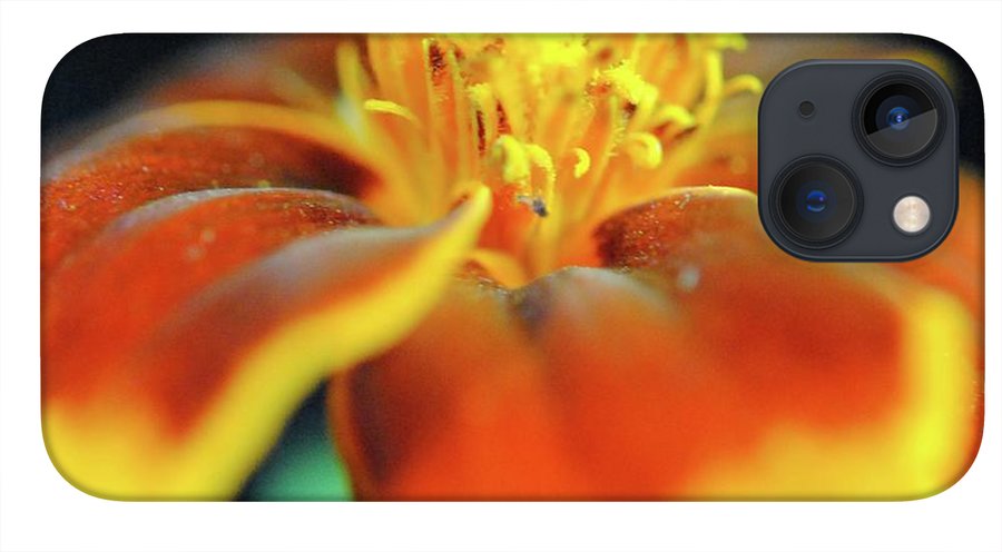 Marigold With Pollen - Phone Case