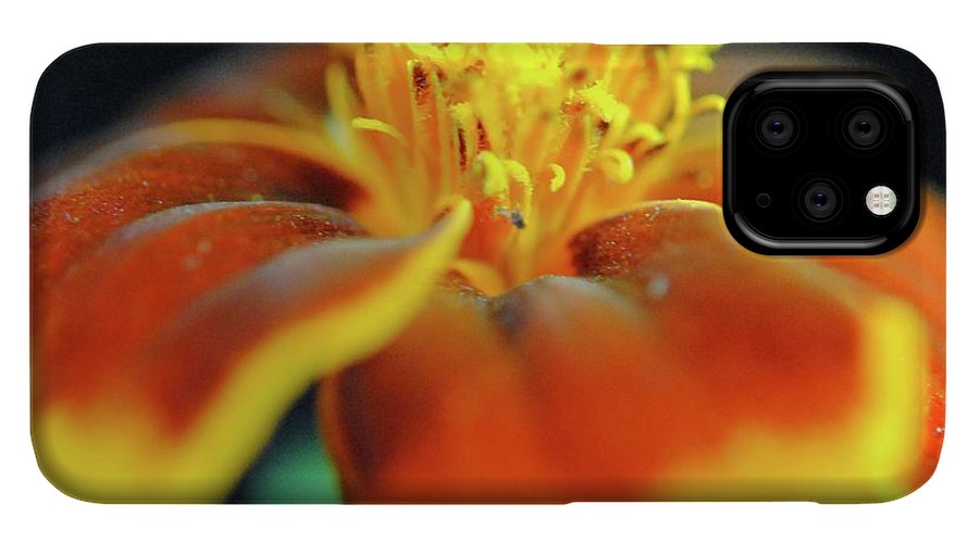 Marigold With Pollen - Phone Case