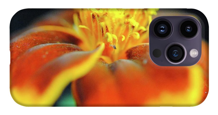 Marigold With Pollen - Phone Case