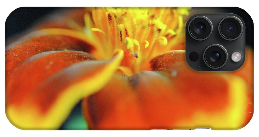 Marigold With Pollen - Phone Case