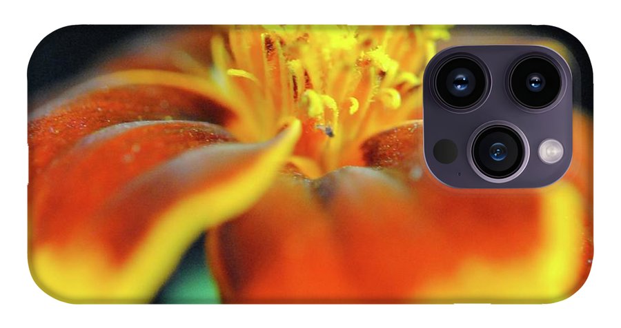 Marigold With Pollen - Phone Case