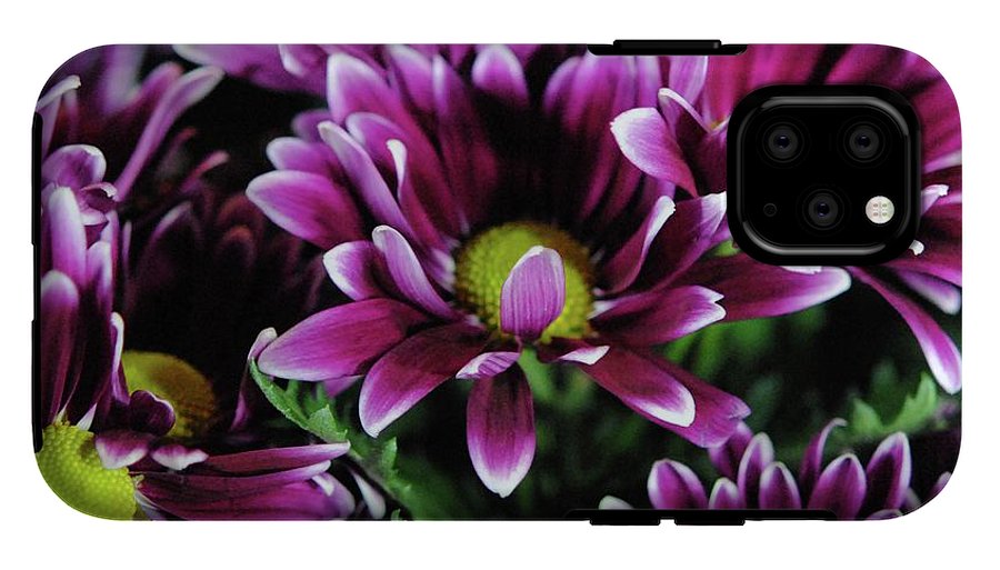 Maroon and White Mums - Phone Case