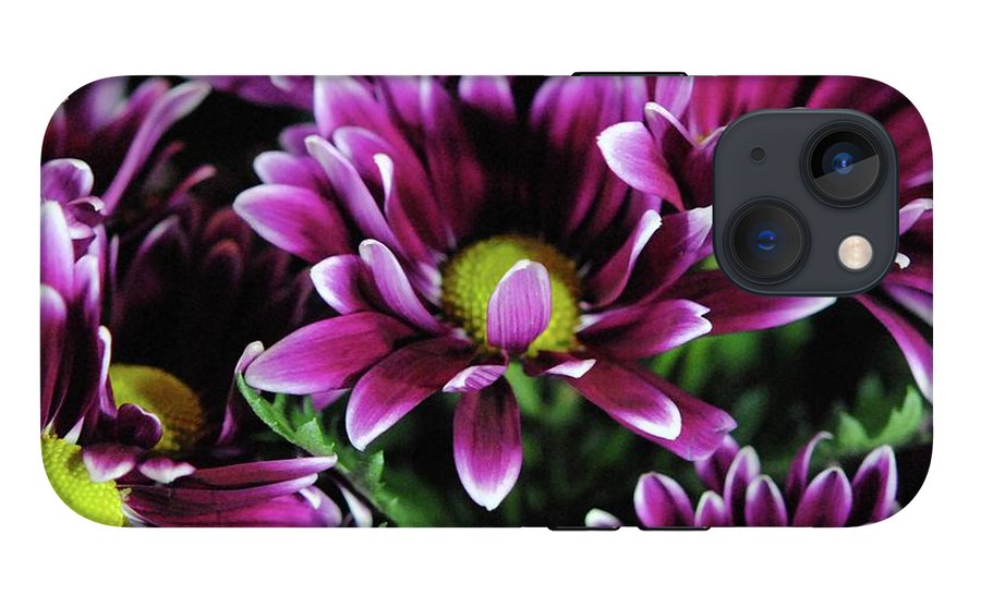 Maroon and White Mums - Phone Case