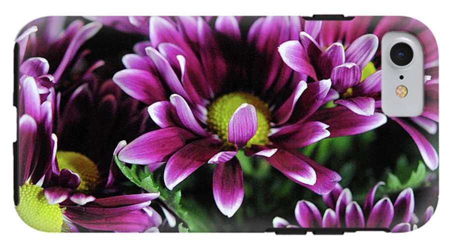 Maroon and White Mums - Phone Case