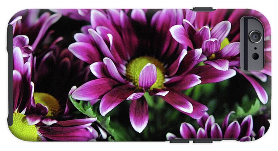 Maroon and White Mums - Phone Case