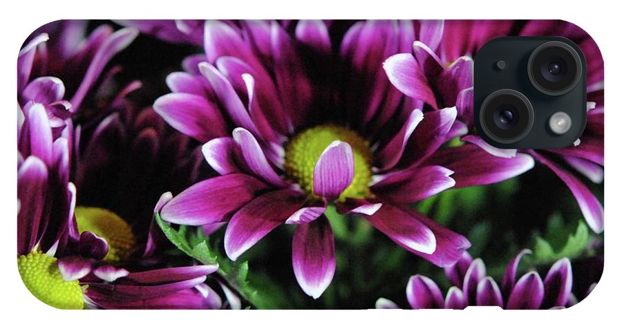 Maroon and White Mums - Phone Case