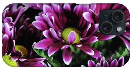 Maroon and White Mums - Phone Case