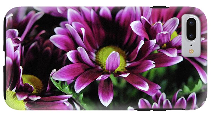 Maroon and White Mums - Phone Case