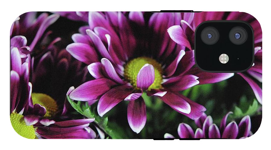Maroon and White Mums - Phone Case