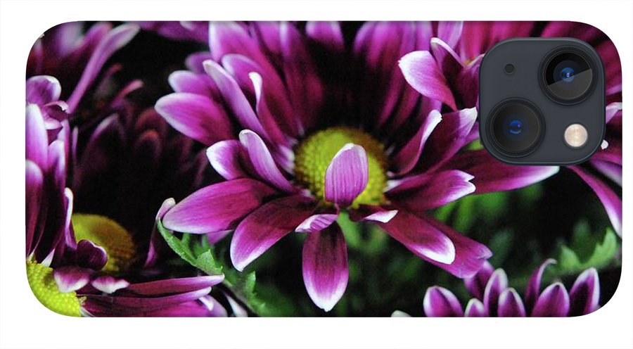 Maroon and White Mums - Phone Case