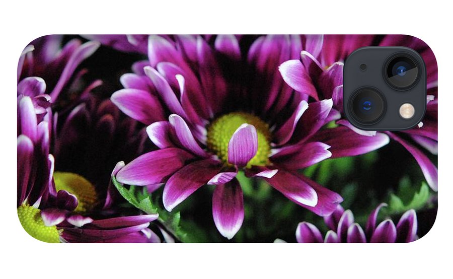 Maroon and White Mums - Phone Case