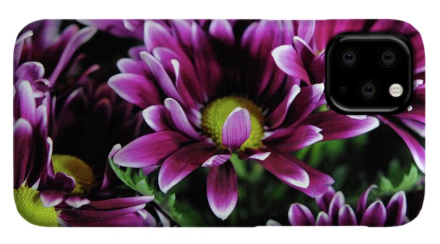 Maroon and White Mums - Phone Case