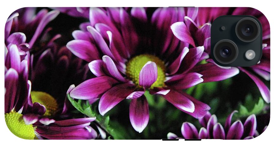 Maroon and White Mums - Phone Case