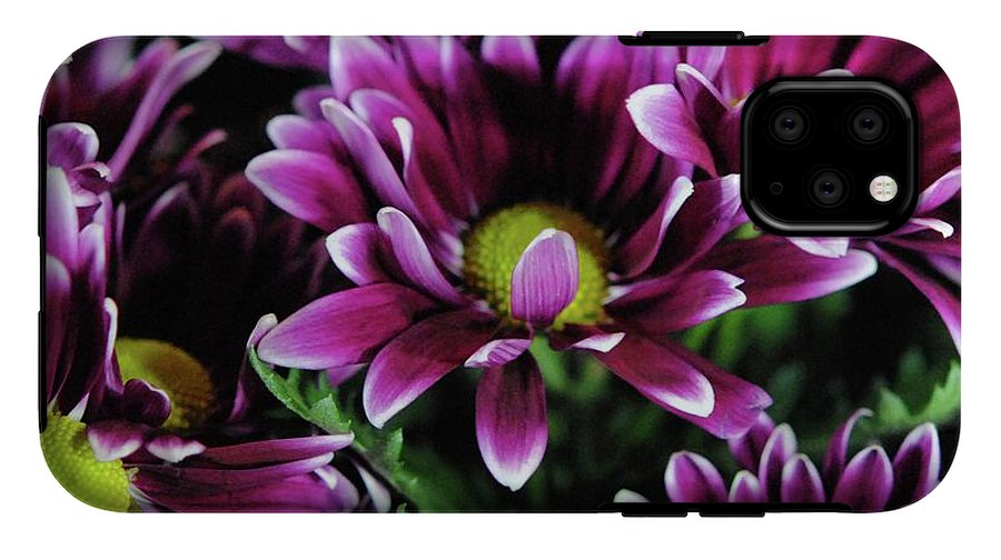 Maroon and White Mums - Phone Case