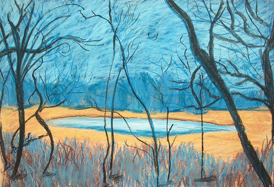Marsh Lake Digital Image Download