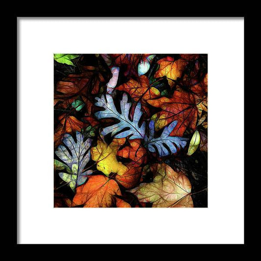Mid October Leaves 1 - Framed Print