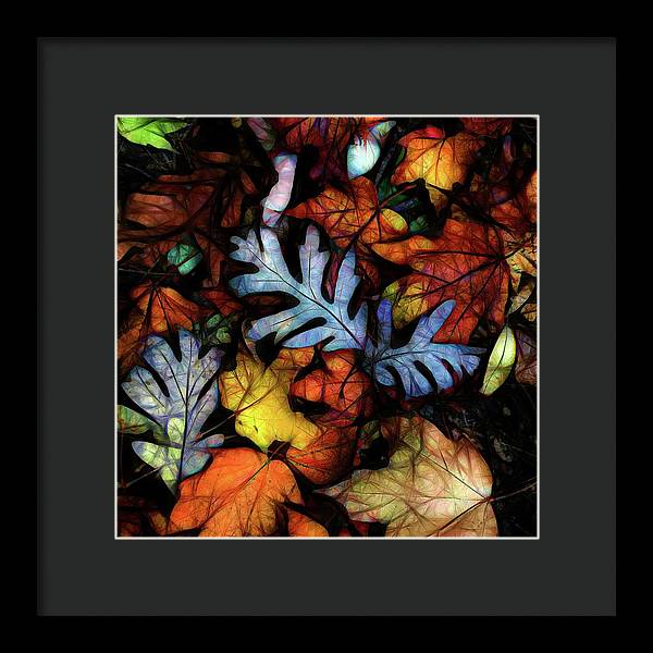 Mid October Leaves 1 - Framed Print