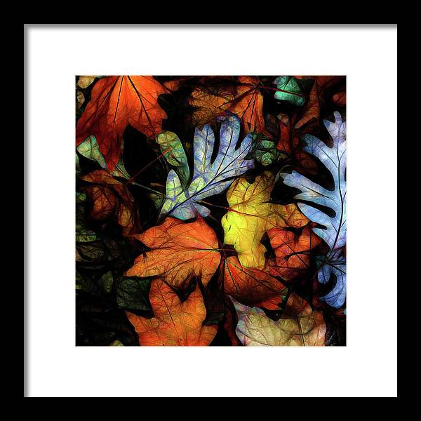 Mid October Leaves 2 - Framed Print